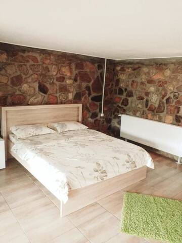 Фото номера Двухместный номер с 1 кроватью Лоджи Casa David г. Sviniţa 2