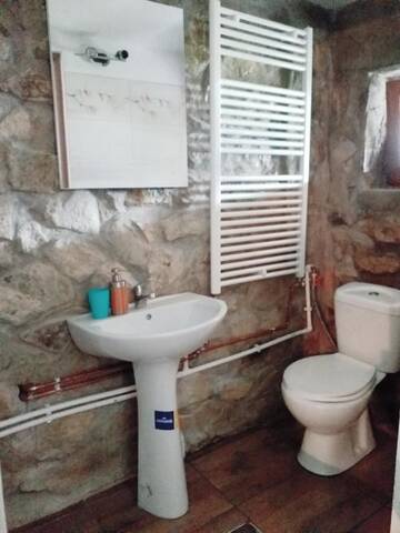 Фото номера Двухместный номер с 1 кроватью Лоджи Casa David г. Sviniţa 6